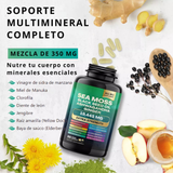 Suplemento Natural 8 en 1 – Sea Moss – Black Seed Oil – Ashwagandha – Extra Strength 19,445 mg | 120 cápsulas